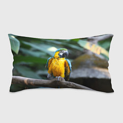 Подушка-антистресс Красавец попугай, цвет: 3D-принт