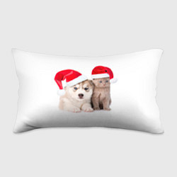 Подушка-антистресс Пёсик и котик в шапочках, цвет: 3D-принт