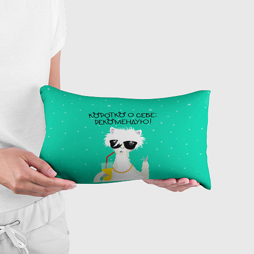 Подушка-антистресс Лама в очках: коротко о себе рекомендую / 3D-принт – фото 3