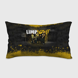 Подушка-антистресс Limp Bizkit: Gold Street, цвет: 3D-принт