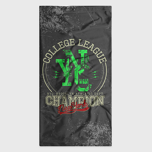 Бандана Team t-shirt 17 / 3D-принт – фото 3