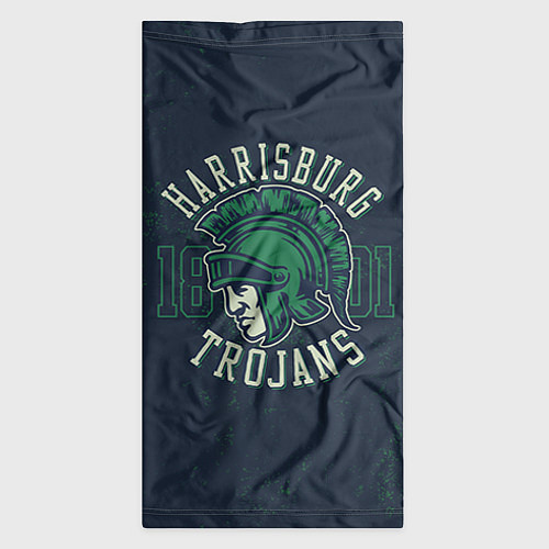Бандана Team t-shirt 3 / 3D-принт – фото 3
