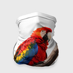 Бандана-труба Яркий попугай, цвет: 3D-принт