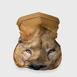 Бандана-труба Царский лев, цвет: 3D-принт