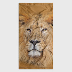 Бандана-труба Царский лев, цвет: 3D-принт — фото 2
