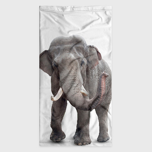 Бандана Большой слон / 3D-принт – фото 3
