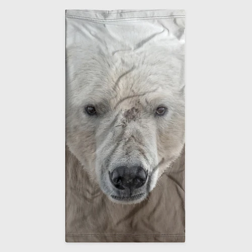 Бандана Белый медведь / 3D-принт – фото 3