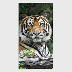Бандана-труба Тигр в джунглях, цвет: 3D-принт — фото 2