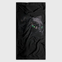 Бандана-труба Черна кошка с изумрудными глазами, цвет: 3D-принт — фото 2