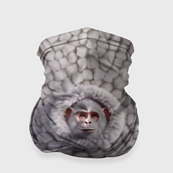 Бандана-труба Забавная белая обезьяна, цвет: 3D-принт