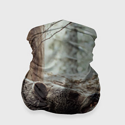 Бандана-труба Bear, цвет: 3D-принт