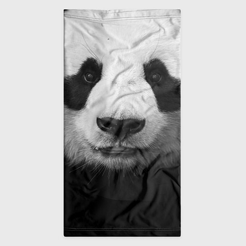 Бандана Взгляд панды / 3D-принт – фото 3