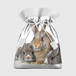 Подарочный мешок Кролики - семейство