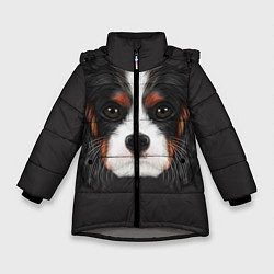Куртка зимняя для девочки Cavalier King Charles, цвет: 3D-светло-серый