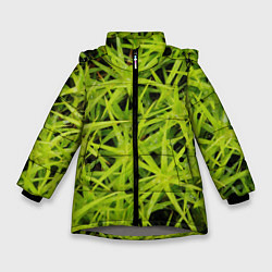 Куртка зимняя для девочки Сфагнум, цвет: 3D-светло-серый