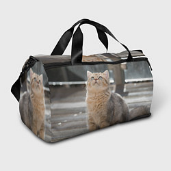 Сумки спортивные Британская короткошёрстная кошка смотрит вверх, цвет: 3D-принт