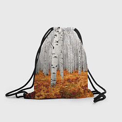Рюкзак-мешок Березовая роща, цвет: 3D-принт