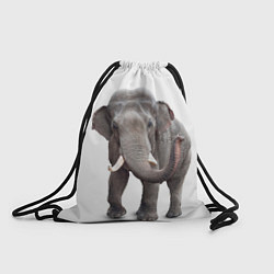 Рюкзак-мешок Большой слон, цвет: 3D-принт