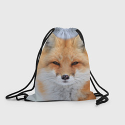 Рюкзак-мешок Хитрая лиса, цвет: 3D-принт