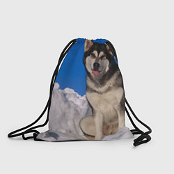 Рюкзак-мешок Аляскинский маламут, цвет: 3D-принт