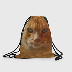 Рюкзак-мешок Рыжий котик, цвет: 3D-принт