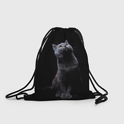 Рюкзак-мешок Кот Британец, цвет: 3D-принт