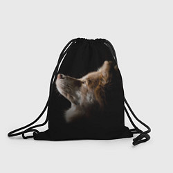 Рюкзак-мешок Пес, цвет: 3D-принт