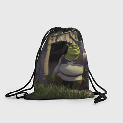 Рюкзак-мешок Shrek: Somebody Once Told Me, цвет: 3D-принт