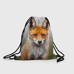 Рюкзак-мешок Рыжая лисица, цвет: 3D-принт