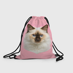 Рюкзак-мешок Пушистый кот, цвет: 3D-принт
