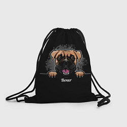 Мешок для обуви Боксёр Boxer