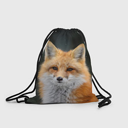 Рюкзак-мешок Красавица Лиса, цвет: 3D-принт