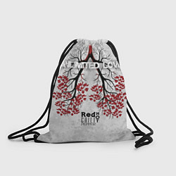 Рюкзак-мешок RHCP - Red Hot Chili Peppers, цвет: 3D-принт
