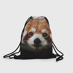 Рюкзак-мешок Малая панда, цвет: 3D-принт