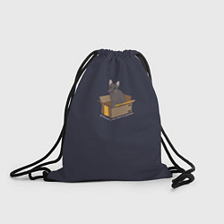 Рюкзак-мешок Кошка в коробке, цвет: 3D-принт