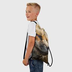 Рюкзак-мешок Мудрый лис, цвет: 3D-принт — фото 2