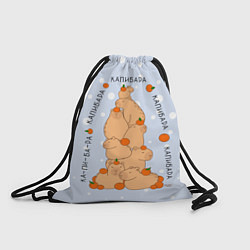 Рюкзак-мешок Гора капибара с мандаринами, цвет: 3D-принт