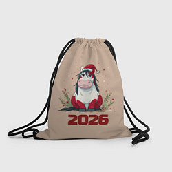 Мешок для обуви Карикатурная лошадка 2026