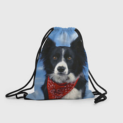 Рюкзак-мешок Бордер-колли, цвет: 3D-принт