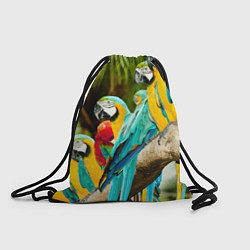 Рюкзак-мешок Попугаи на ветке, цвет: 3D-принт