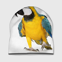 Шапка Попугай ара, цвет: 3D-принт