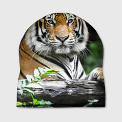 Шапка Тигр в джунглях, цвет: 3D-принт
