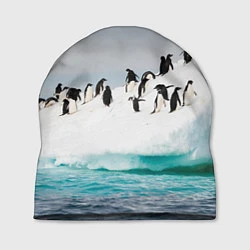 Шапка Пингвины на айсберге, цвет: 3D-принт