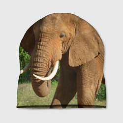 Шапка Рыжий слон, цвет: 3D-принт