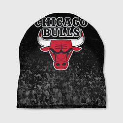 Шапка CHICAGO BULLS, цвет: 3D-принт