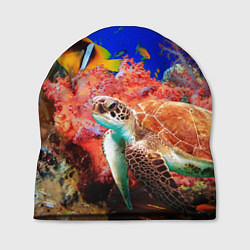 Шапка Морская черепаха, цвет: 3D-принт