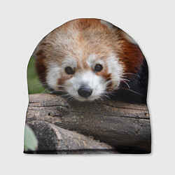Шапка Красная панда, цвет: 3D-принт