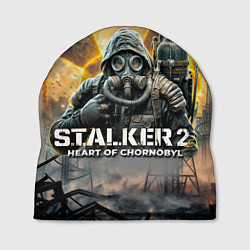 Шапка S t a l k e r Heart of Chornobyl