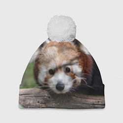 Шапка с помпоном Красная панда, цвет: 3D-белый