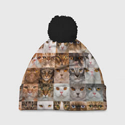 Шапка с помпоном Pedigreed cats, цвет: 3D-черный